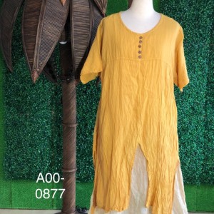 A00-0877