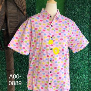 A00-0889